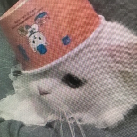 Meet your Posher, Geovanni - Picture 1 of 1